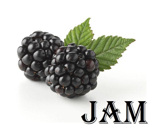 今年人気のブランド品や of Top | Jam Blackberry the Jellies & Jams Hill ギター